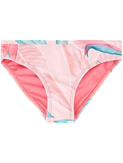 Duskii Girl Mila Printed Bikini Bottom In Pink