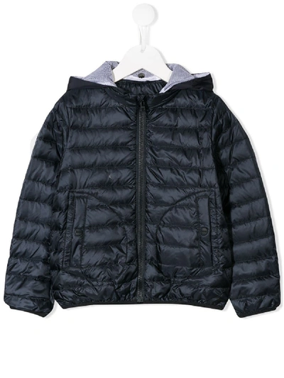 Herno Padded Hooded Jacket In Blue