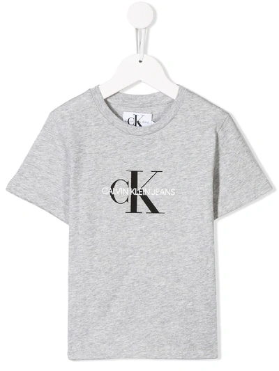 Shop Calvin Klein Printed Logo T-shirt In Grey