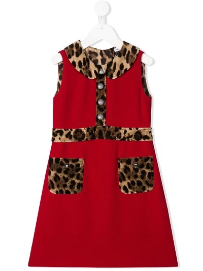 Shop Dolce & Gabbana Leopard Print Trim Dress In Red