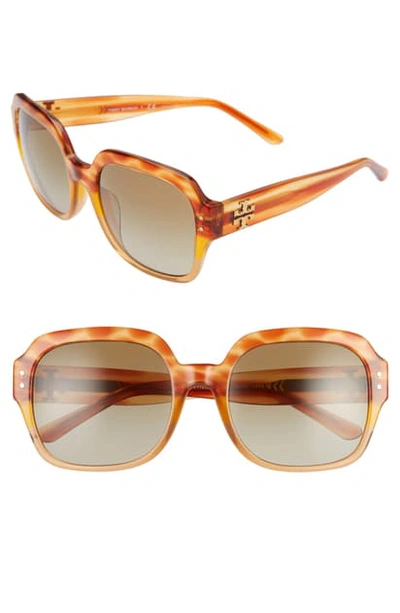 Shop Tory Burch 56mm Round Sunglasses In Amber/ Olive Gradient