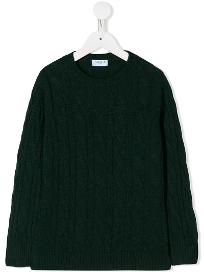 Shop Siola Cable Knit Jumper In Green