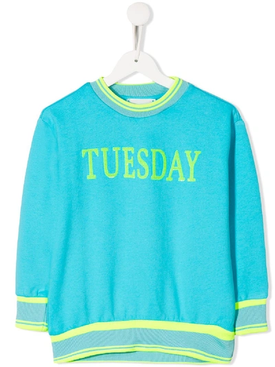Shop Alberta Ferretti Tuesday Knit Jumper In Blue