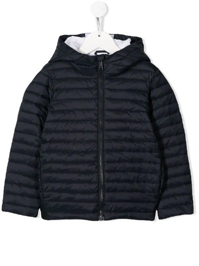 Shop Emporio Armani Quilted Puffer Jacket In Blue