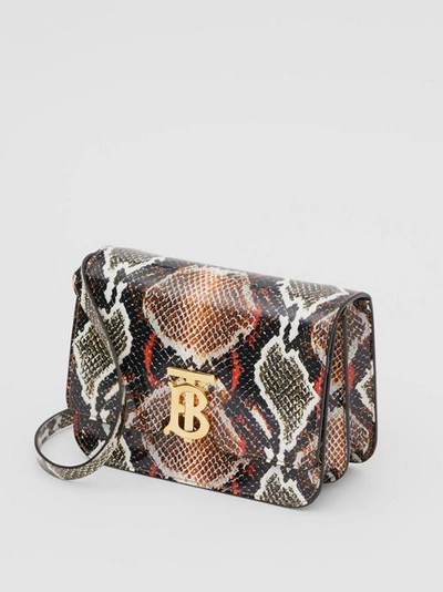 Shop Burberry Small Python Print Leather Tb Bag In Soft Cocoa