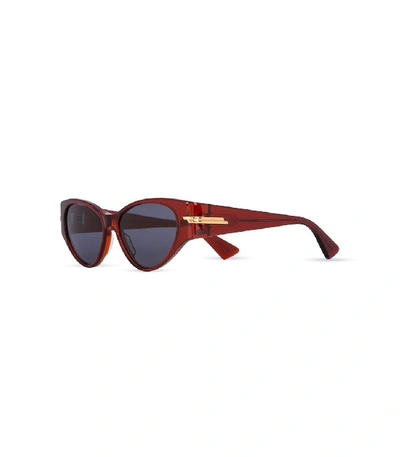 Shop Bottega Veneta Cat Eye Sunglasses In Burgundy