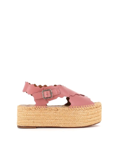 Shop Chloé Chloè Sandal Espadrilles Lauren Wedges In Pink