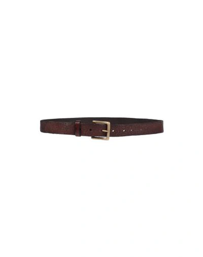 Shop Campomaggi Woman Belt Cocoa Size 28 Cowhide In Brown
