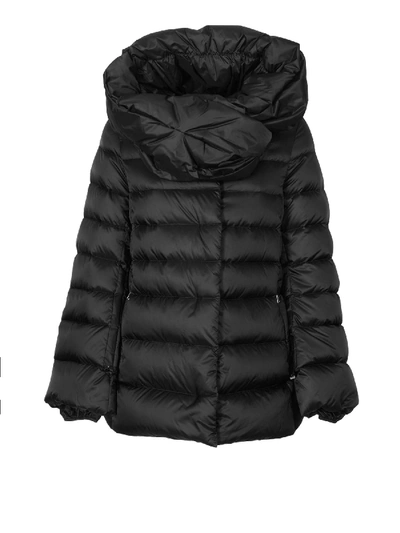 Shop Add Black Polyamide Down Jacket