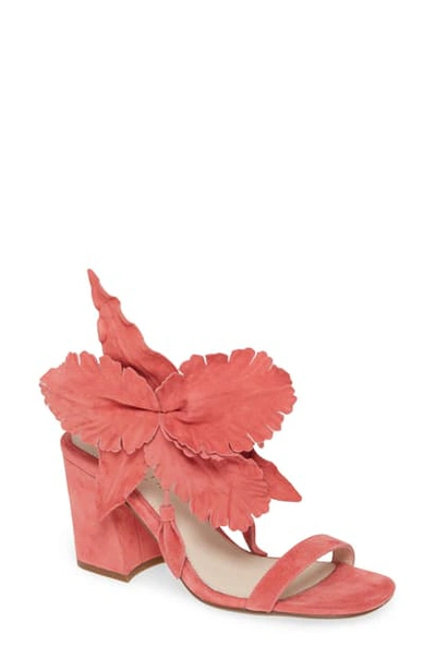Shop Cecelia New York Hibiscus Sandal In Coral Suede