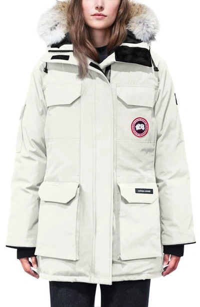 Shop Canada Goose Expedition Hooded Down Parka With Genuine Coyote Fur Trim In Early Light