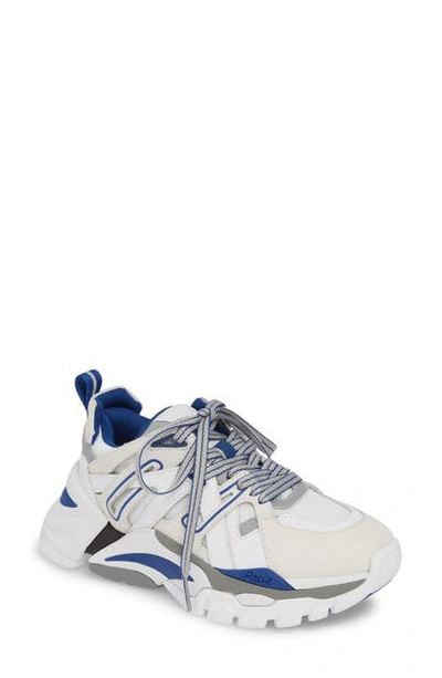 Shop Ash Sneaker In White/ Silver/ Navy