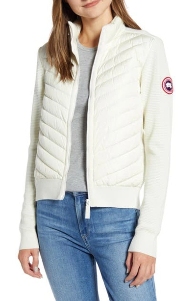 Shop Canada Goose Hybridge Quilted & Knit Jacket In Cottongrass