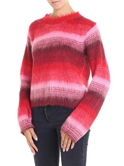 Shop Dondup Red And Pink Crop Pullover