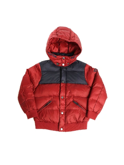 Shop Emporio Armani Burgundy And Blue Quilted Dow Jacket In Red