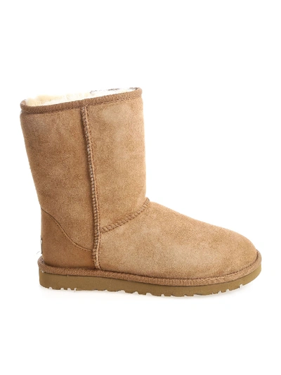 Shop Ugg Classic Short Boots In Camel Color