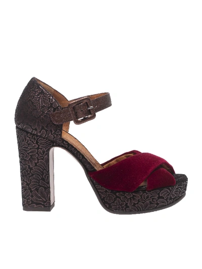 Shop Chie Mihara "bag" Burgundy Ankle Strap Sandals In Red