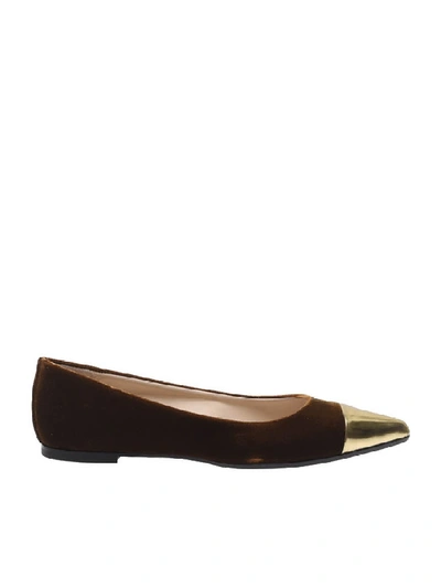 Shop Anna Baiguera Camel Color "malika" Flats