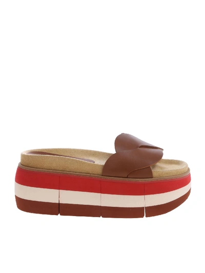 Shop Paloma Barceló Michiko Slippers In Leather In Brown