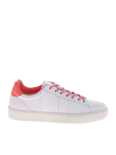 Shop Woolrich White Sneakers With Coral Red Colored Insert