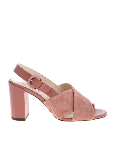 Shop Tod's Pink Sandals In Genuine Leather