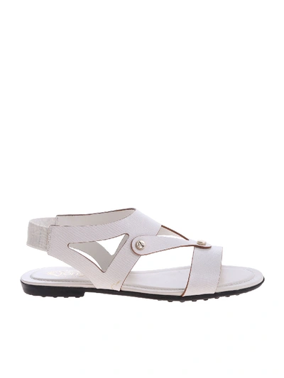 Shop Tod's White Sandals