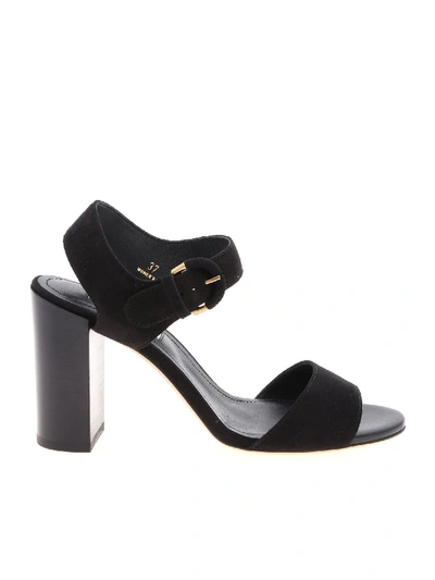 Shop Tod's Sandals In Black Suede
