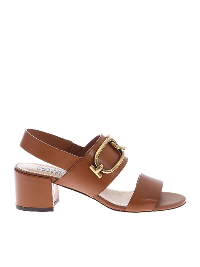 Shop Tod's Sandals In Brown With Metal Detail