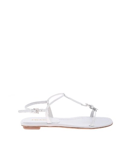 Shop Prada Sandals In Genuine White Leather
