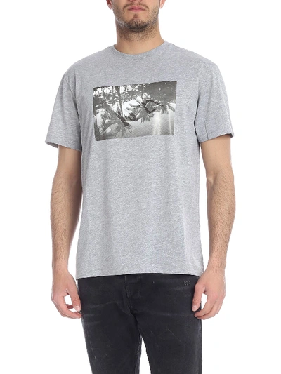 Shop N°21 Gray Crewneck T-shirt With Palm Print In Grey