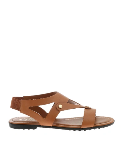 Shop Tod's Sandals In Brown With Metal Details