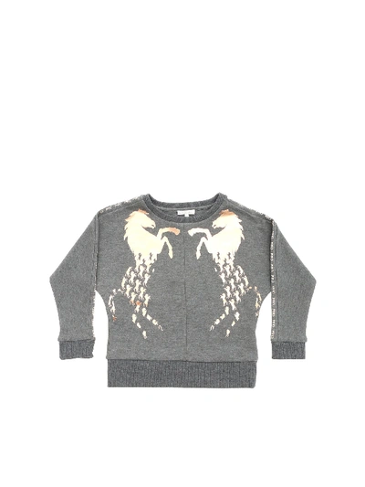 Shop Chloé Sweatshirt In Grey Melange With Laminated Horse Prints
