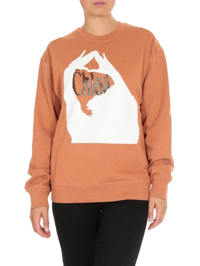 Shop Chloé Sweatshirt In Sunburn Brown Colored Cotton