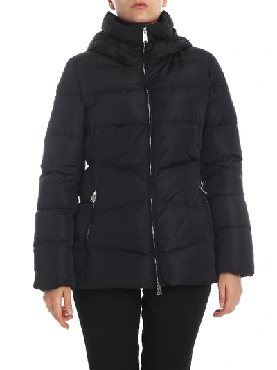 Shop Add Black Quilted Down Jacket