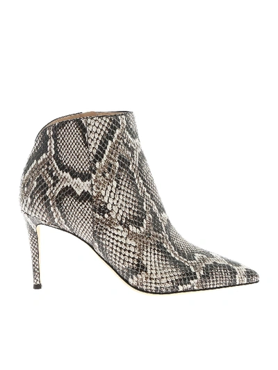 Shop Giuseppe Zanotti Formal 85 Ankle Boots Reptile Effect In Animal Print