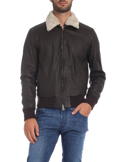 Shop Stewart Brown Jacket With Fur Collar