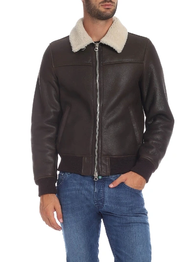 Shop Stewart Brown Jacket With Fur Details