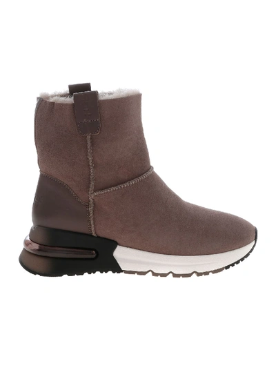 Shop Ash Kyoto Ankle Boots In Dove Grey Color