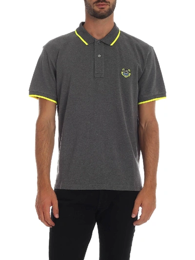 Shop Kenzo Tiger Crest Polo In Gray In Grey