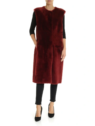 Shop Desa 1972 Long Sleeveless Fur In Dark Red