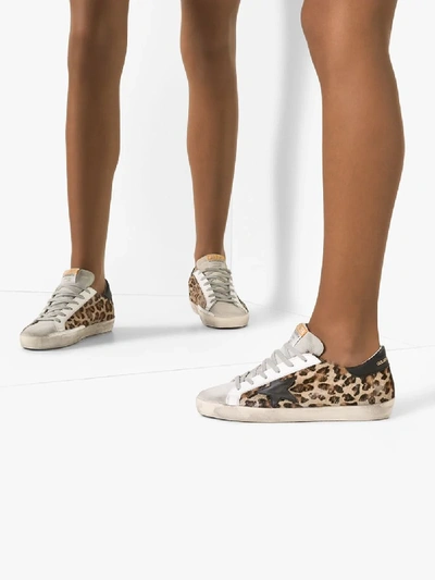 Shop Golden Goose Brown Super-star Leopard Print Sneakers