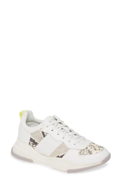 Shop Ted Baker Weverds Sneaker In White Leather