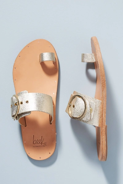 Shop Beek Swift Slide Sandals In Silver