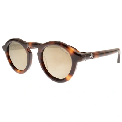Shop Moncler Ml0042 Sunglasses Brown