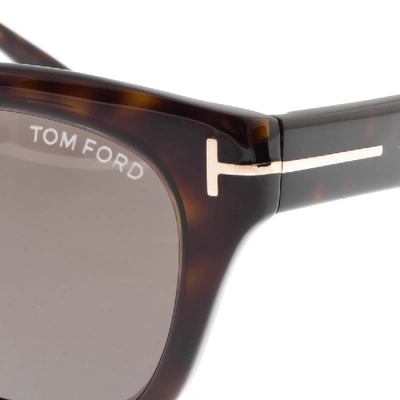 Shop Tom Ford Snowdon Sunglasses Brown