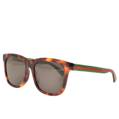 Shop Gucci Gg0057sk Sunglasses Brown