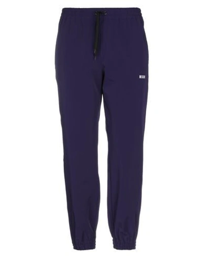 Shop Msgm Man Pants Purple Size 36 Polyester, Elastane
