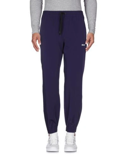 Shop Msgm Man Pants Purple Size 36 Polyester, Elastane