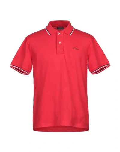 Shop Museum Polo Shirts In Red