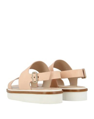 Shop Tod's Sandals In Pale Pink
